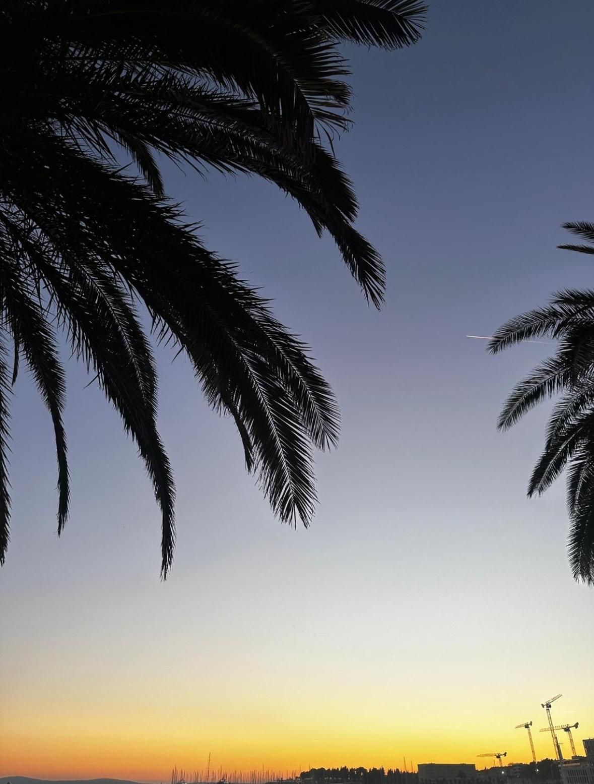 Palm Blues Apartman